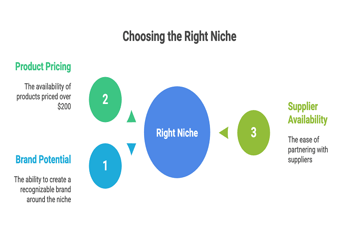 Drop shipping with Beginner-Friendly Niches